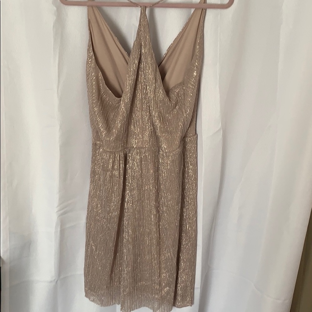Express Dress - Picture 4 of 4